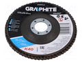 Flap grinding wheels; Ø: 125mm; Øhole: 22.2mm; Granularity: 40 GRAPHITE 55H987