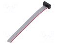 Ribbon cable with IDC connectors; IDC,wires; Tape ph: 0.64mm SAMTEC FFSD05S030001N
