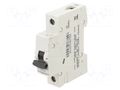 Circuit breaker; 230VAC; Inom: 20A; Poles: 1; Charact: C; 6kA; IP20 LEGRAND 419203