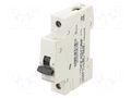 Circuit breaker; 230VAC; Inom: 25A; Poles: 1; Charact: C; 6kA; IP20 LEGRAND 419204