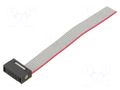 Ribbon cable with IDC connectors; IDC,wires; Tape ph: 0.64mm SAMTEC FFSD04S020001