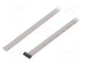 Ribbon cable with IDC connectors; IDC,wires; Tape ph: 0.64mm SAMTEC FFSD08S480001N