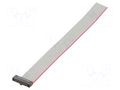 Ribbon cable with IDC connectors; IDC,wires; Tape ph: 0.64mm SAMTEC FFSD10S050001N