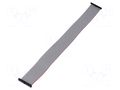 Ribbon cable with IDC connectors; IDC,both sides; 304.8mm; 12" SAMTEC FFSD25D120001N