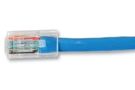 LEAD, CAT6 UNBOOTED UTP, BLUE, 5M 1996-5B