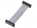 Ribbon cable with IDC connectors; IDC,both sides; 76.2mm; 3" SAMTEC FFSD13D030001NSR