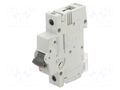 Circuit breaker; 230/400VAC; Inom: 10A; Poles: 1; Charact: B; 10kA ETI POLAM 001901008