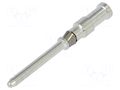 Contact; male; silver plated; 0.5mm2; turned contacts; crimped PHOENIX CONTACT CK1.6-ED-0.50STAG