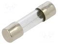 Fuse: fuse; 1A; 250VAC; time-lag; cylindrical,glass; 5.2x20mm; FST SCHURTER 0034.3117.G