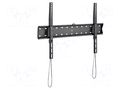 Holder; for wall mounting; 40kg; 37÷70"; black; permanent GEMBIRD WM-70F-01