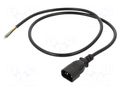 Cable; 3x0.75mm2; IEC C14 male,wires; PVC; 1m; black; 10A; 250V LIAN DUNG SN13-3/07/1.0BK