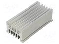 Heatsink: extruded; grilled; natural; L: 100mm; W: 50.7mm; H: 33mm FISCHER ELEKTRONIK SK499/100/AL