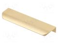 Holder; aluminium; golden; H: 17mm; L: 100mm; W: 40mm; HEXA GTV Poland GTV-UA-HEXA-64-22