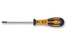 SCREWDRIVER TORX TX 10X80 T49117-10