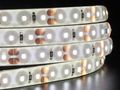 LED line 9.6W 12V 120 LED / m SMD2216, 4000K нейтральный белый, IP65 / водонепроницаемая, LED line 249150 5901583249150
