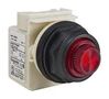 INCANDESCENT INDICATOR, 1.18", 120V 9001SKP38R31