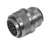 CIRCULAR, SIZE 36, 31WAYS, SKT MS3100F36-9S