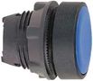 PUSHBUTTON HEAD, FLUSH, BLUE ZB5AA6