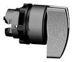 SEL SW 2POS LNG/HDLE ZB5AJ2