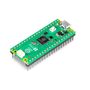 Raspberry Pi Pico 2 H - RP2350 ARM Cortex M33 - with header RPI-26285