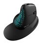 Wireless Ergonomic Mouse Delux M618XSD BT+2.4G RGB, Delux M618XSD (Black)