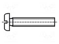 Screw; M5x30; 0.8; Head: cheese head; slotted; polyamide; DIN 85A BOSSARD B5X30/BN1062