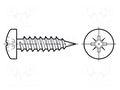 Screw; 3.9x38; Head: cheese head; Pozidriv; PZ2; ISO 7049; BN 13259 BOSSARD B3.9X38/BN13259