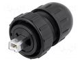 Connector: USB B; plug; Data-Con-X; for cable; straight; USB 2.0 SWITCHCRAFT DCC-USBBB-180