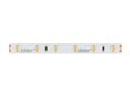 LED line® strip 300 SMD 24V 6500K 4,8W 240676 5901583240676