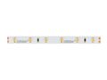 LED strip 300/5m SMD 24V 6500K 4,8W IP20 8mm 5m 400lm/m PRIME 240676 5901583240676