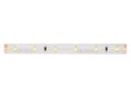 LED strip 300/5m SMD 24V 6500K 4,8W IP65 8mm 5m 480lm/m LITE 240744 5901583240744