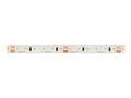 LED strip 600/5m SMD 24V 11000K 9,6W IP65 8mm 5m 800lm/m LITE 241628 5901583241628