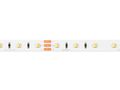 LED strip 300/5m SMD 24V 3000-6500K 9,6W IP20 MULTIWHITE 10mm 5m 800lm/m PRIME 241819 5901583241819