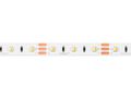 LED strip 300/5m SMD 12V 3000-6500K 9,6W IP20 MULTIWHITE 10mm 5m 800lm/m PRIME 243714 5901583243714