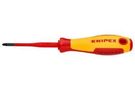 POZIDRIVE SCREWDRIVER, 80MM, #1 98 25 01 SLS