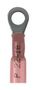 TERMINAL, RING TONGUE, #6, 18AWG, RED PH18-6R-Q