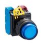 PB SWITCH, SPST-NO, 240VAC, SCREW, BLUE YW1L-M2E10QM3S