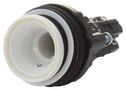 SW ACTUATOR, PBSW, DPST-NO/NC, 250V 14-272.0252