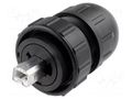 Connector: USB B; plug; Data-Con-X; for cable; straight; USB 2.0 SWITCHCRAFT DCC-USBBB-310