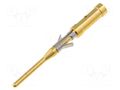 Contact; male; brass; gold-plated; 26AWG÷22AWG; crimped BULGIN SA3542/P