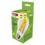LED Bulb Filament A70 / E27 / 18 W (150 W) / 2452 lm / Warm white, EMOS ZF5D82 8592920129951
