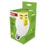 LED Bulb Filament G95 / E27 / 7.8 W (75 W) / 1055 lm / Warm white, EMOS ZF2D52 8592920130582