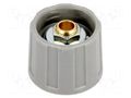 Knob; without pointer; ABS; Øshaft: 6mm; Ø20x15.5mm; grey; A2520 OKW A2520068