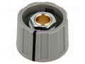 Knob; with pointer; ABS; Øshaft: 6mm; Ø23x15.5mm; grey; A2623 OKW A2623068
