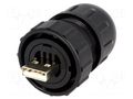 Connector: USB A; plug; Data-Con-X; for cable; straight; USB 2.0 SWITCHCRAFT DCC-USBAB-150