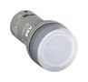 PILOT LIGHT, CLEAR, 24V, 22.3MM, SCREW 1SFA619403R5028