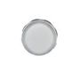 PILOT LIGHT, CLEAR, 230V, 22.3MM, SCREW 1SFA619403R5238