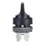MOD 2POS SELE-MAINT-BLK-BLK PLASTIC BEZE 1SFA611200R1006