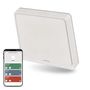 GoSmart Portable Scene Controller IP-2001ZW, ZigBee 3.0, 1-button, EMOS H5011