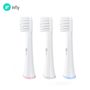 infly P20C | Toothbrush head | 3 pack, INFLY P20CBLHEADS3P 6973106050177